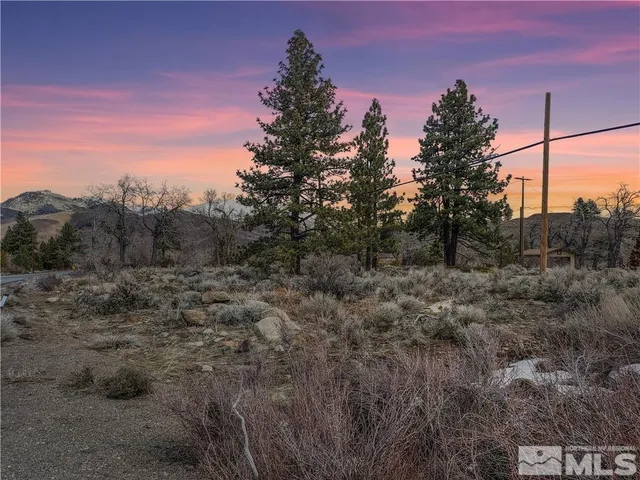a view of a backyard with green space