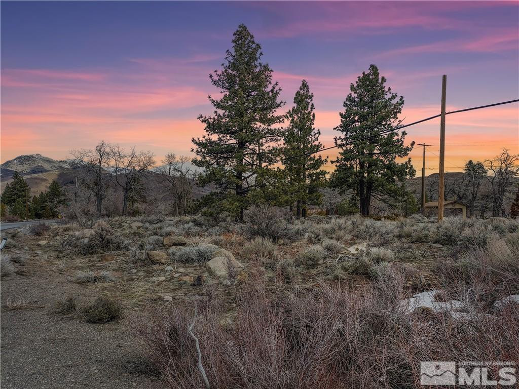 549 South Verdi Road Verdi, NV 89439 - Photo 10 of 11 a view of a field