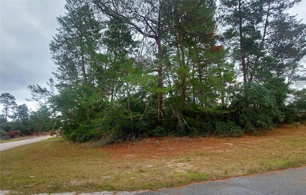 18 Southwest 18th Avenue Road Ocala, FL 34473 - Photo 1 of 1 Gallery Image 1