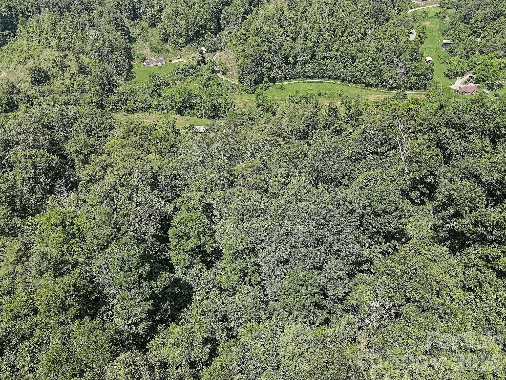 1820 Grapevine Road Marshall, NC 28753 - Photo 11 of 16