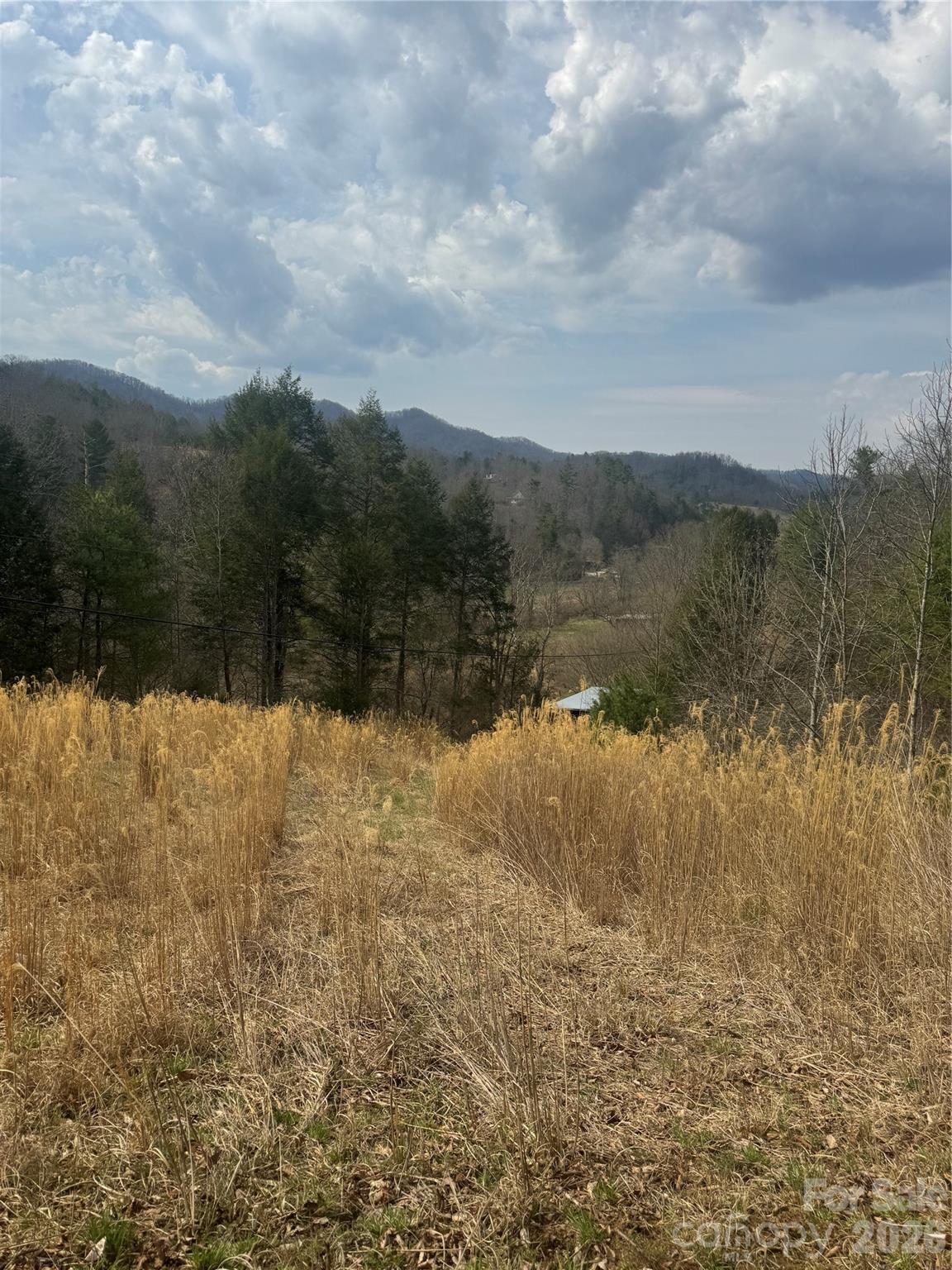 1820 Grapevine Road Marshall, NC 28753 - Photo 13 of 48