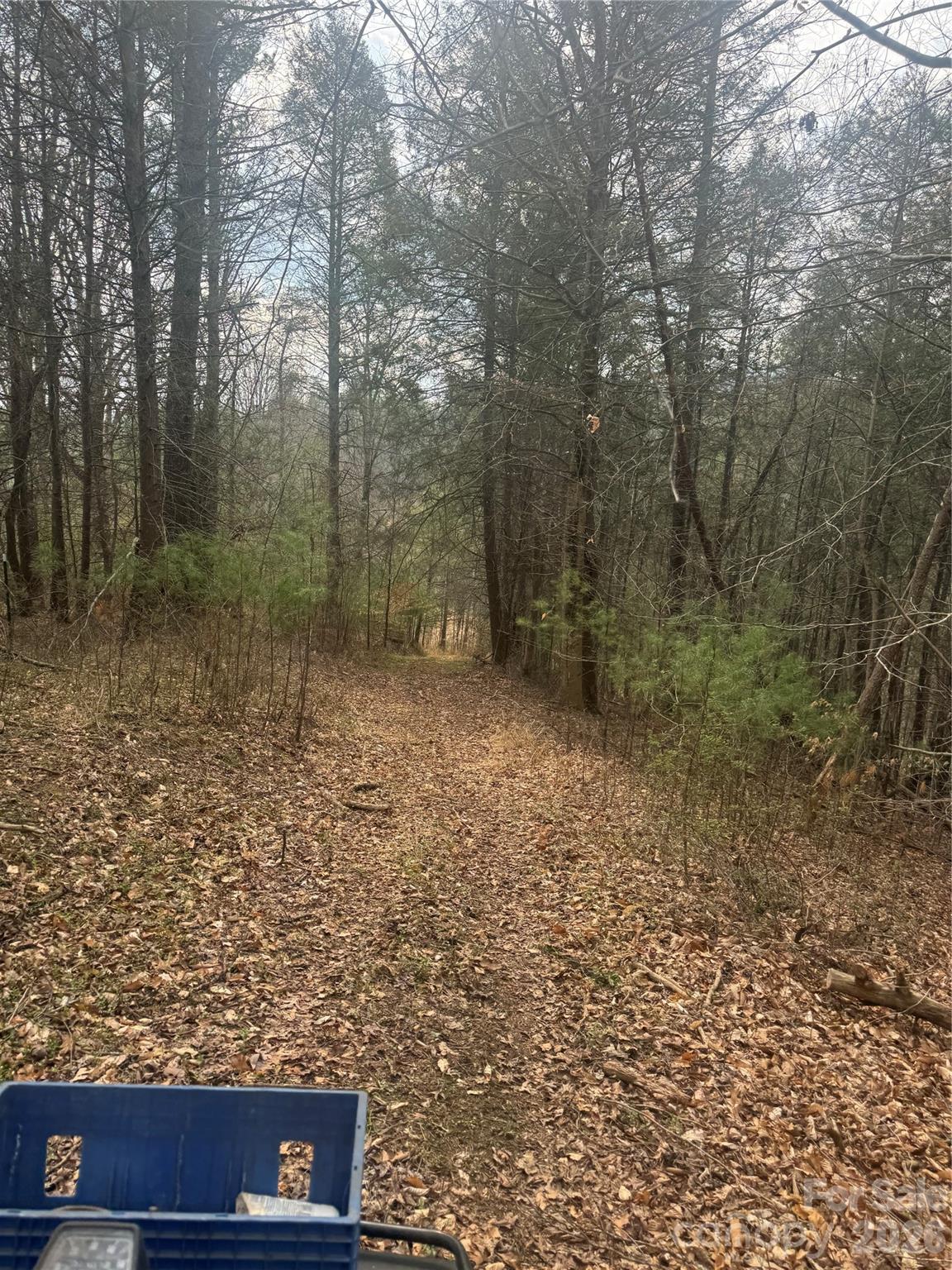 1820 Grapevine Road Marshall, NC 28753 - Photo 18 of 48 a view of outdoor space with trees