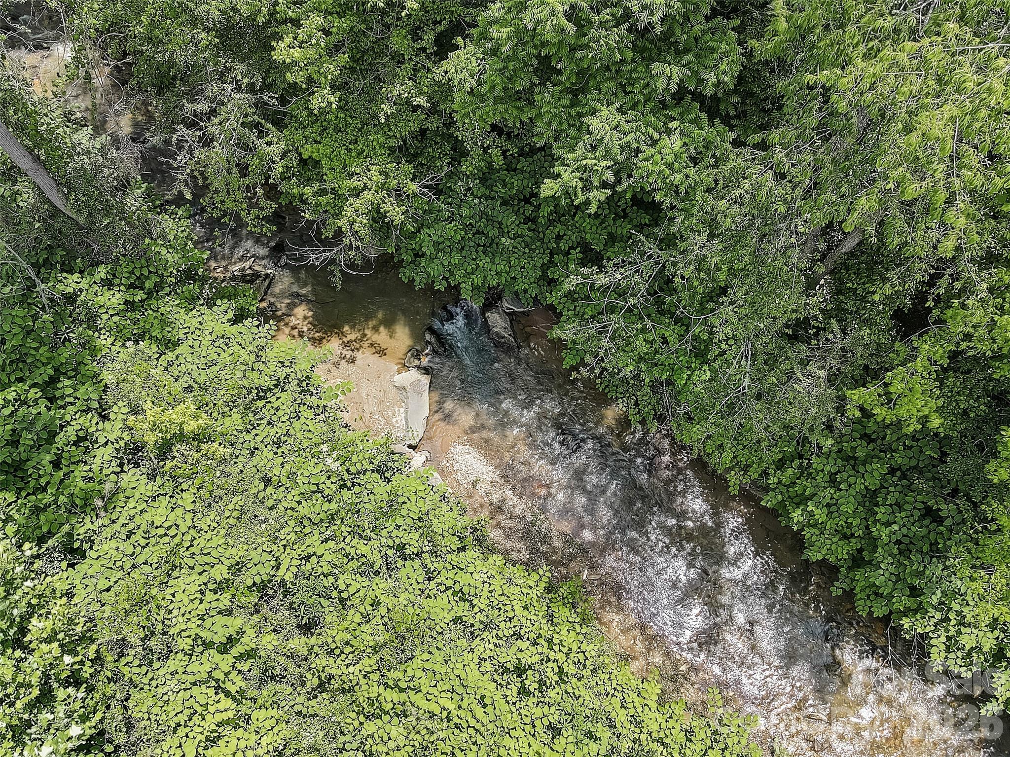 1820 Grapevine Road Marshall, NC 28753 - Photo 2 of 16