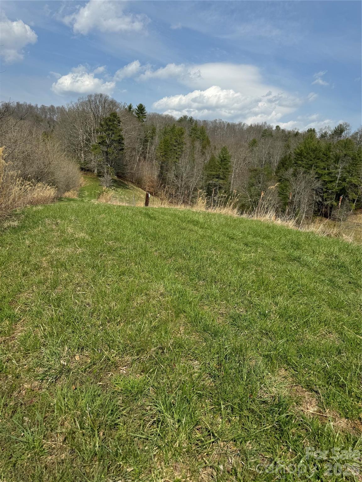 1820 Grapevine Road Marshall, NC 28753 - Photo 34 of 48