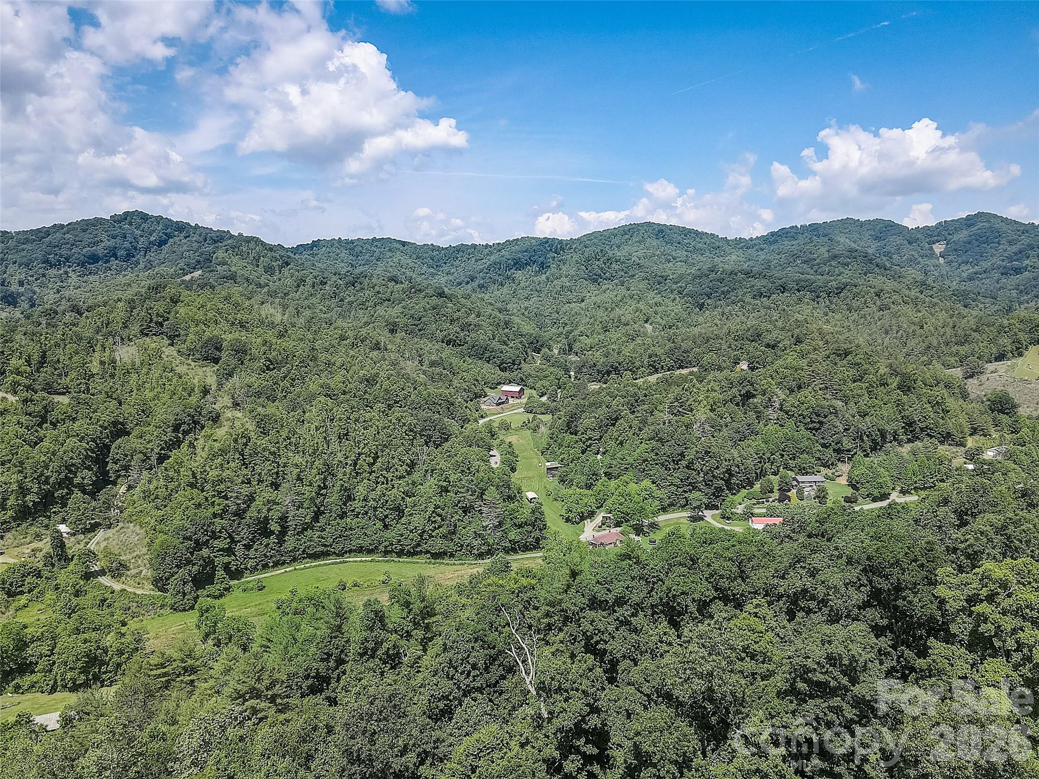 1820 Grapevine Road Marshall, NC 28753 - Photo 4 of 16