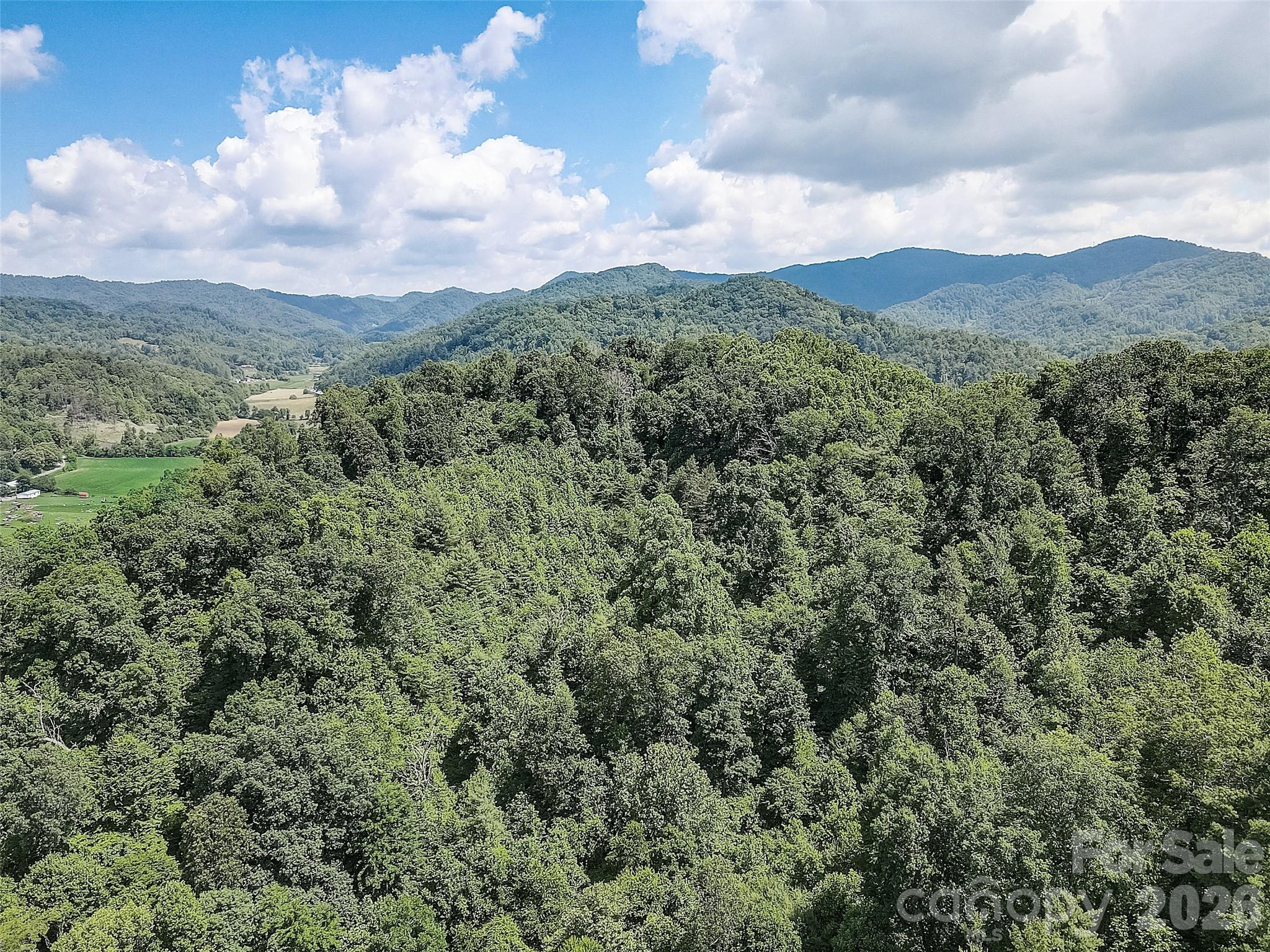 1820 Grapevine Road Marshall, NC 28753 - Photo 8 of 16