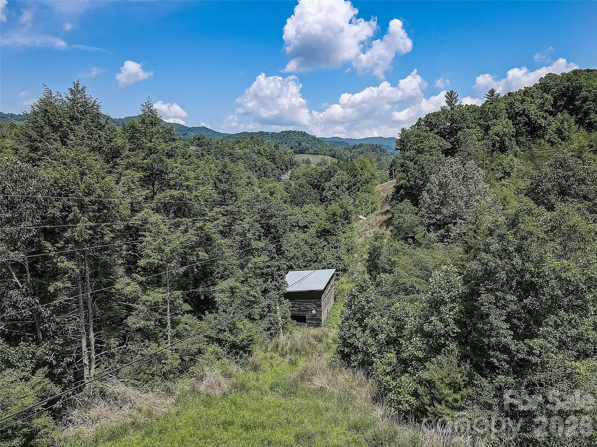 1820 Grapevine Road Marshall, NC 28753 - Photo 9 of 16