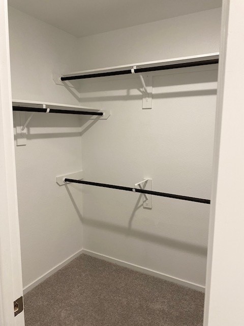 5283 Israel Grace Way Houston, TX 77048 - Photo 18 of 27 Master Closet