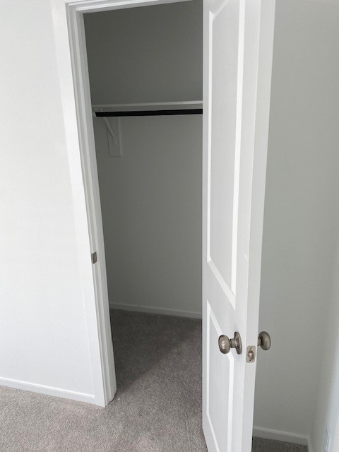 5283 Israel Grace Way Houston, TX 77048 - Photo 21 of 27 Bedrooms 2 & 3 Closet