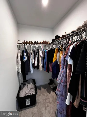 a view of walk in closet with clothes and shoes