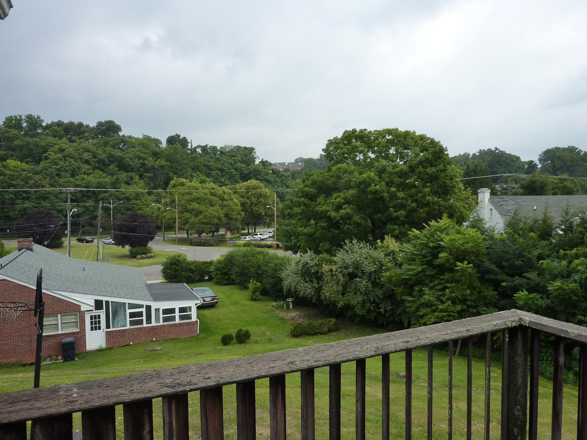 557 Dillard Road Southwest Roanoke, VA 24014 - Photo 16 of 18 View from Deck
