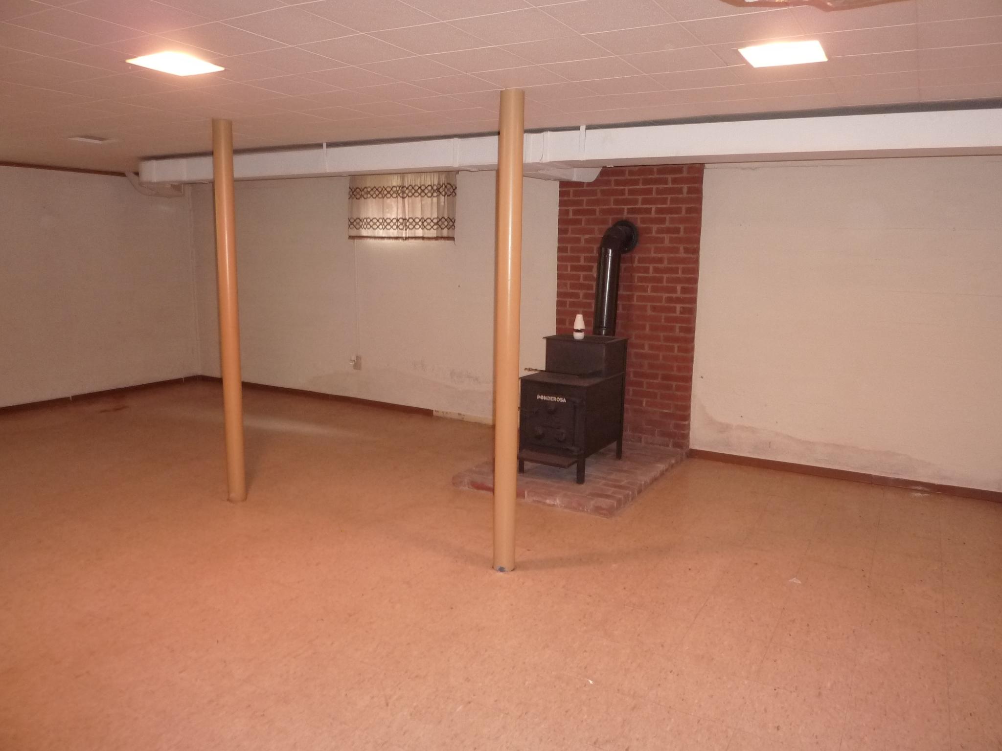 557 Dillard Road Southwest Roanoke, VA 24014 - Photo 17 of 18 Wood Stove Basement