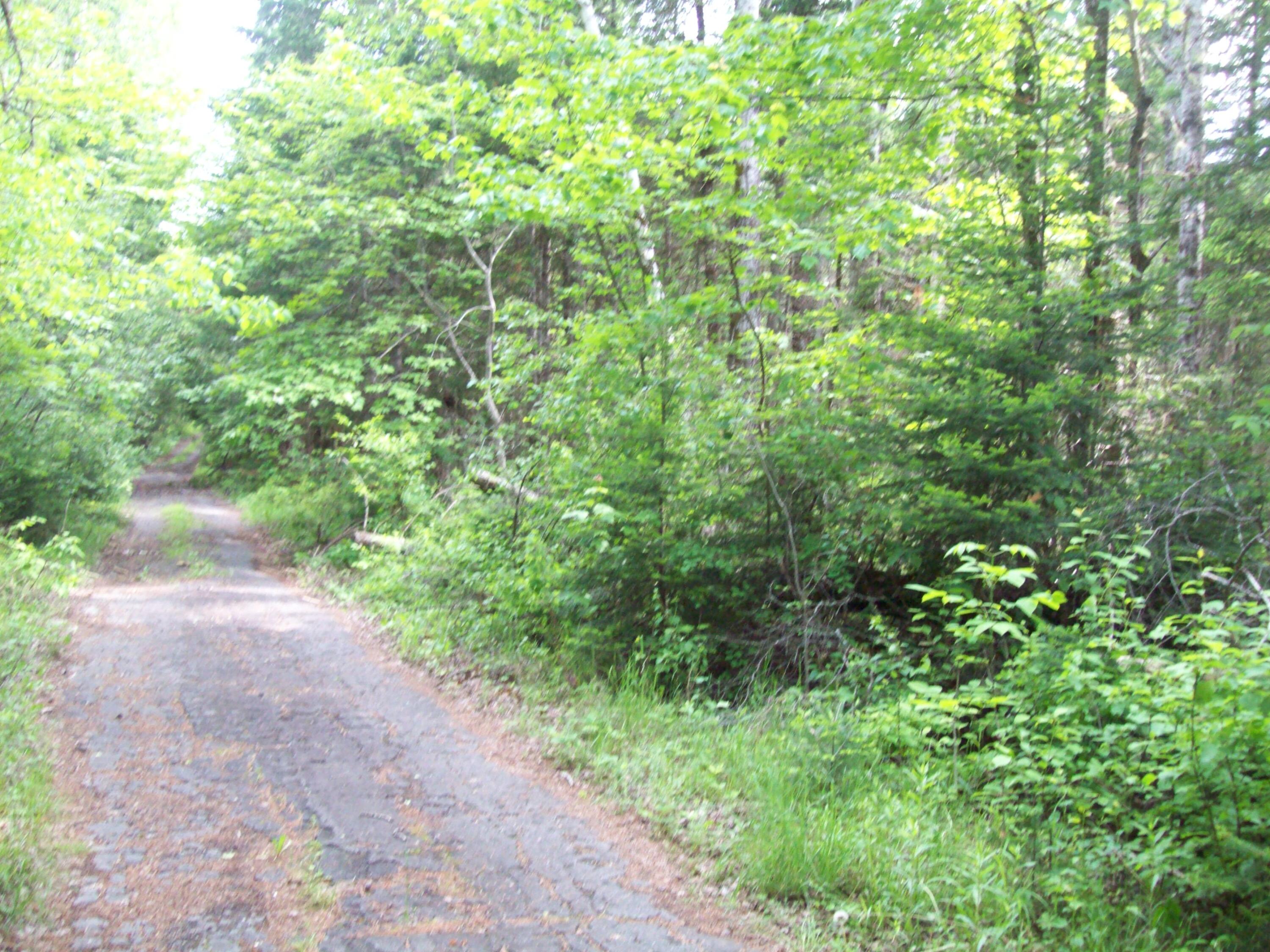 3-24d Smith Road Kingman, ME 04451 - Photo 15 of 18