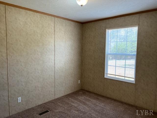 327 Rhodies Road Prospect, VA 23960 - Photo 11 of 18 an empty room with windows