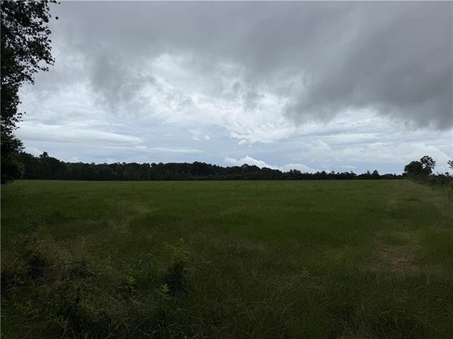 0 East Bell Road Amite, LA 70422 - Photo 5 of 8