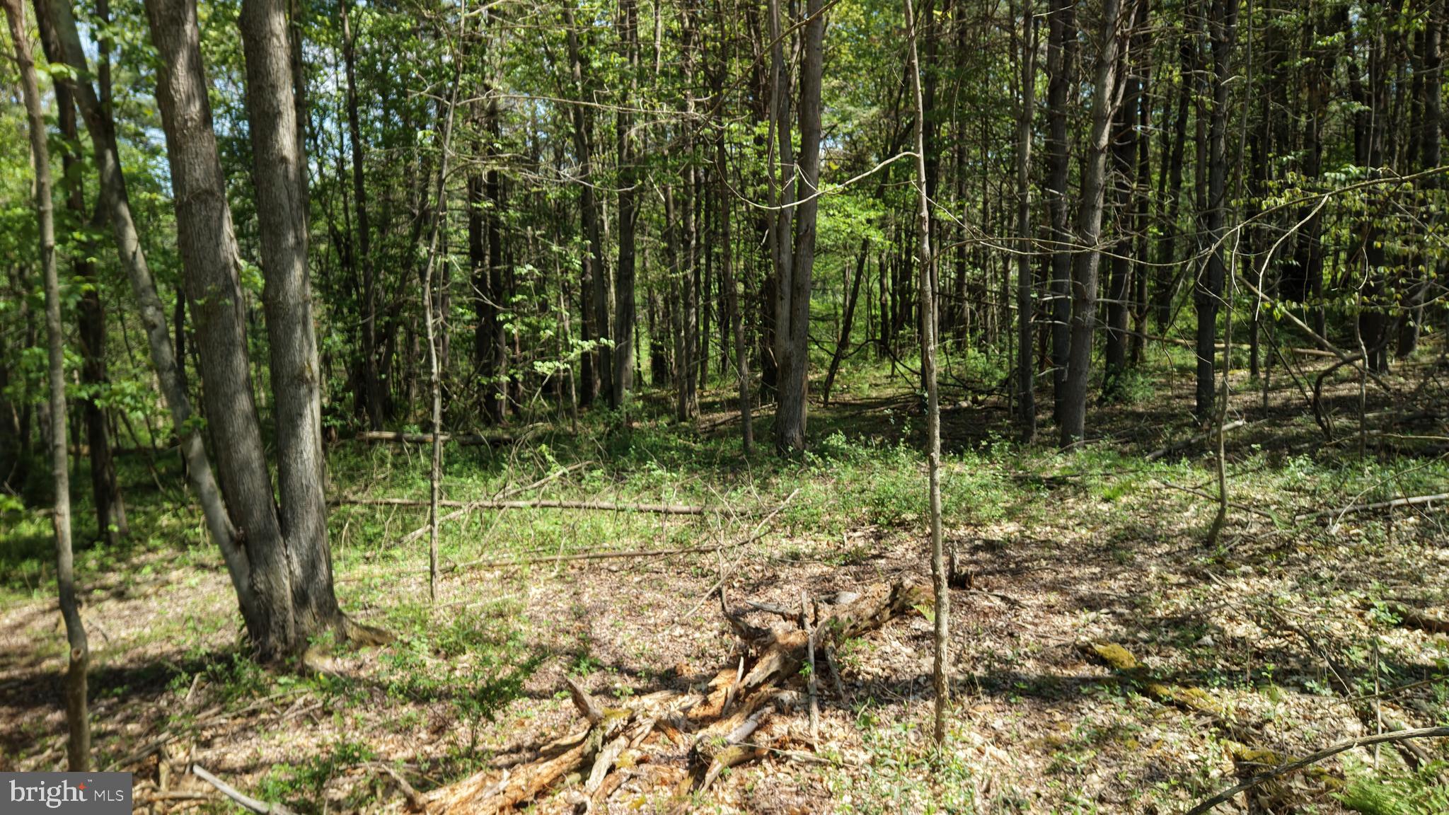 0 Kingsley Hl Road Towanda, PA 18848 - Photo 15 of 16