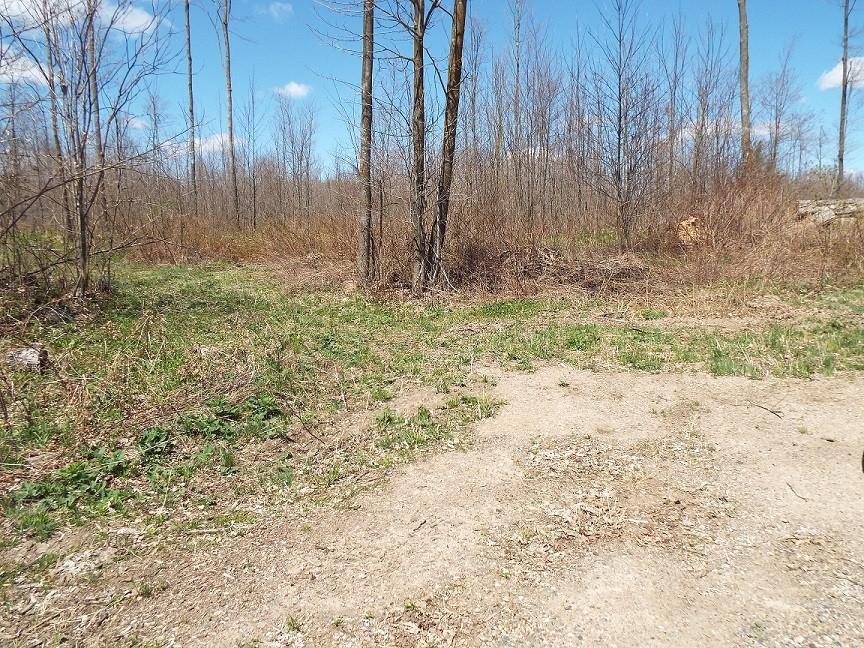 On Buckner Road White Lake, WI 54491 - Photo 10 of 10 Gallery Image 10