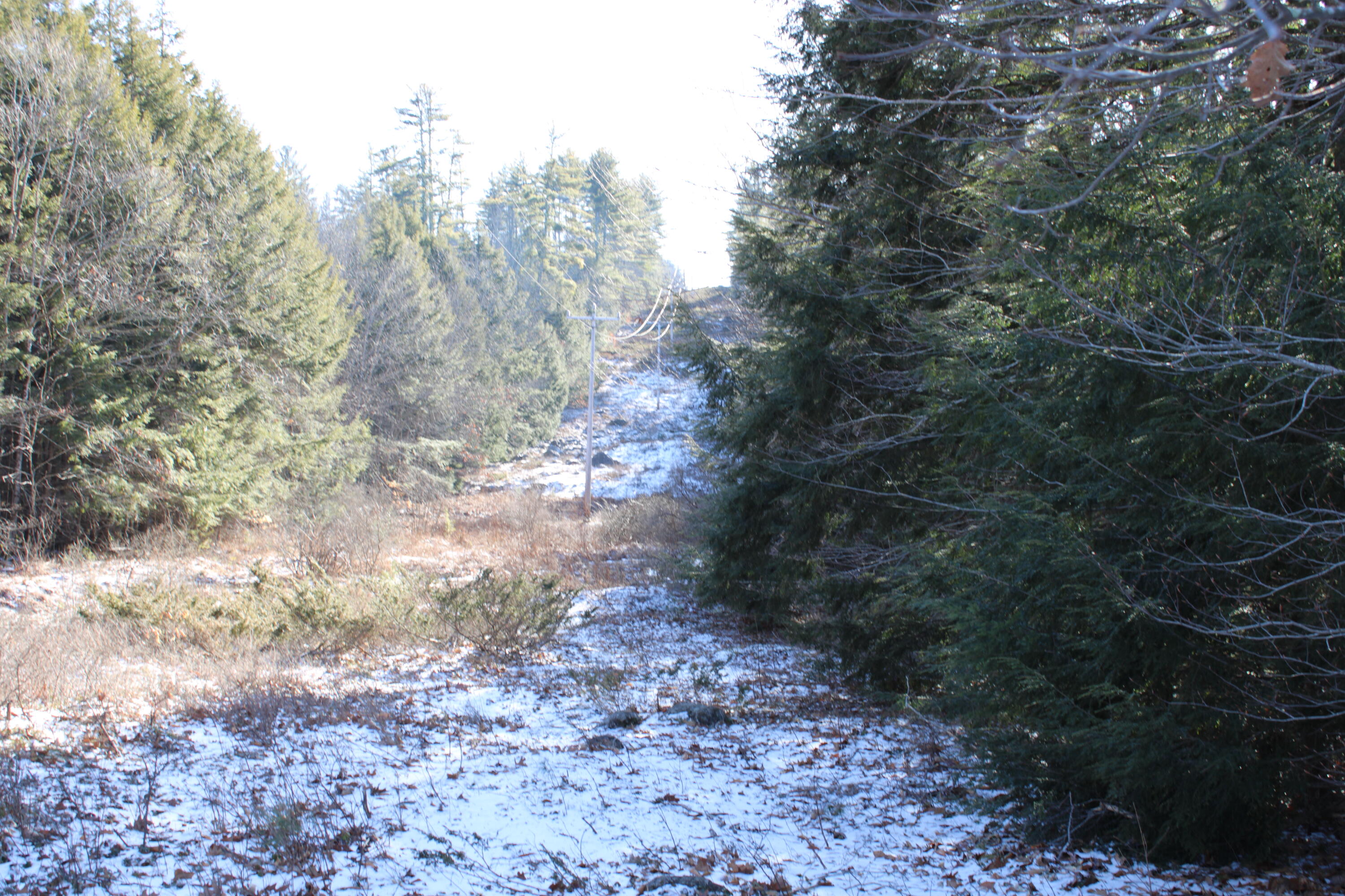 0 Senator Black Road West Baldwin, ME 04091 - Photo 3 of 16 senblackpic3