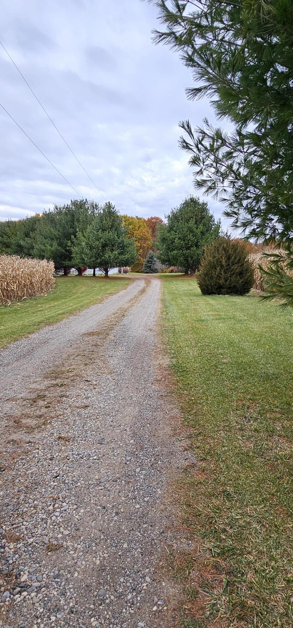7430 Ingalls Road Belding, MI 48809 - Photo 9 of 47 1000014256