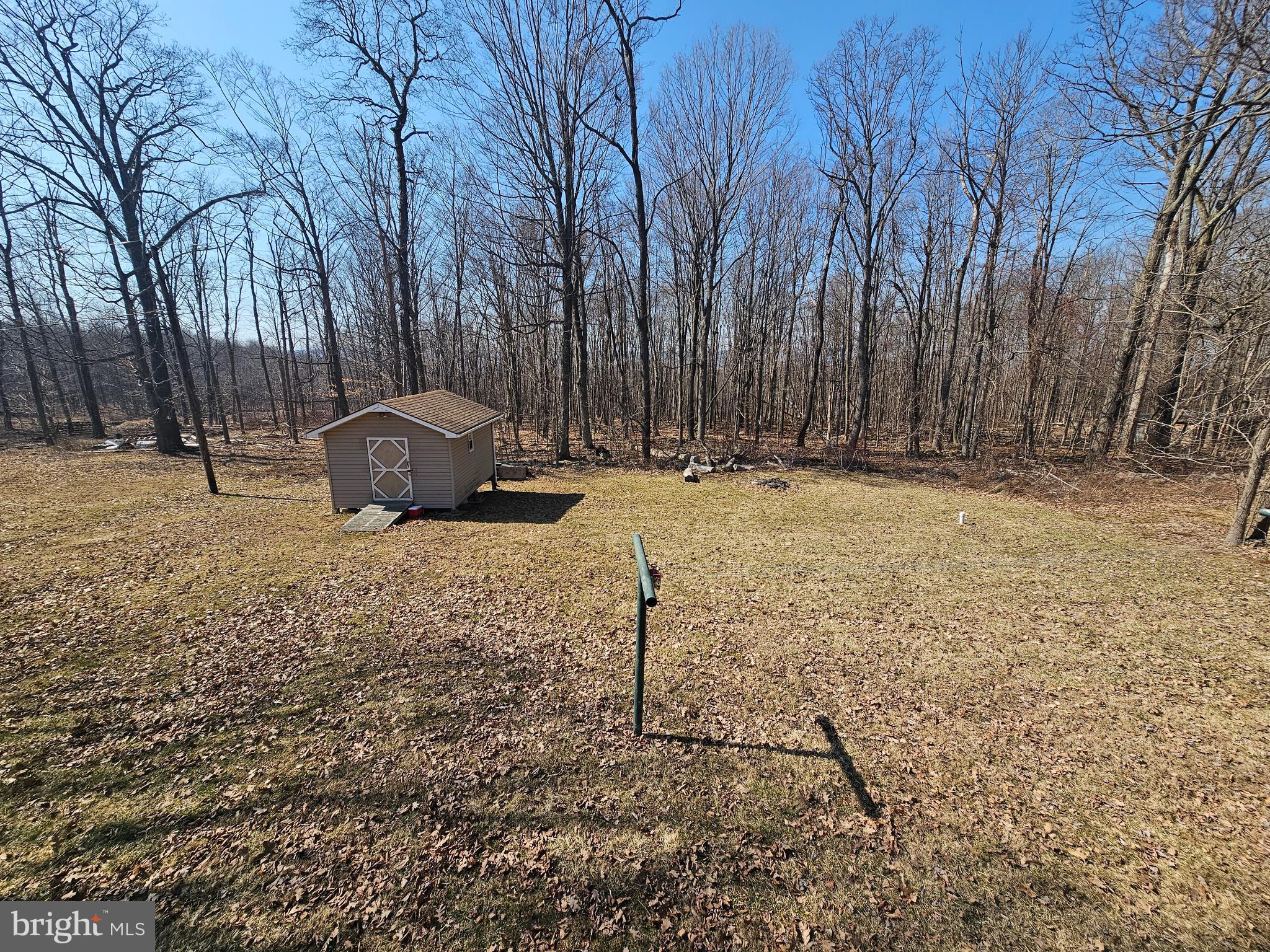 4229 Chestnut Ridge Road Grantsville, MD 21536 - Photo 7 of 25 a view of a yard with a bench and trees