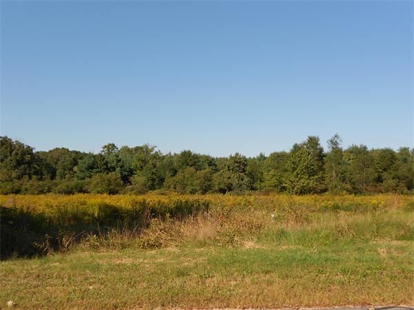 Lot 3-2 Gilbert Road Southampton, MA 01073 - Photo 1 of 2 Gallery Image 1