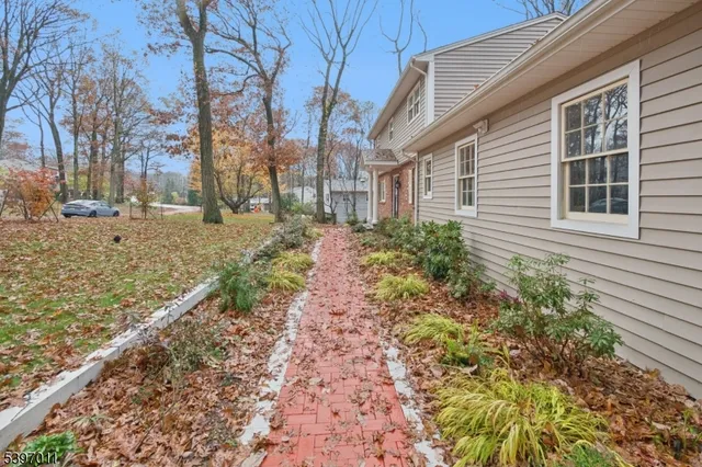 a view of a yard with plants and trees