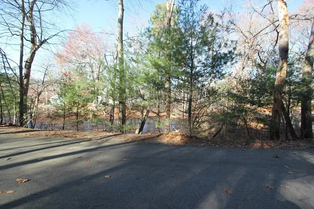 a view of a yard with trees