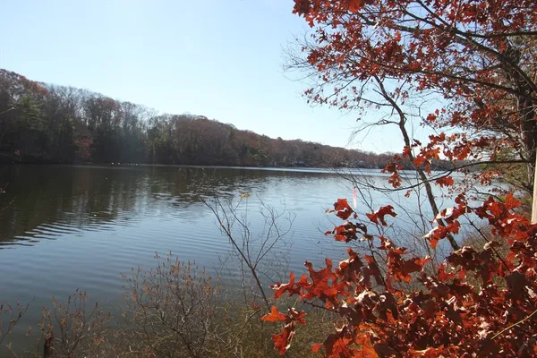 $99,000 | 0 West Birch Road, Norfolk, MA 02056