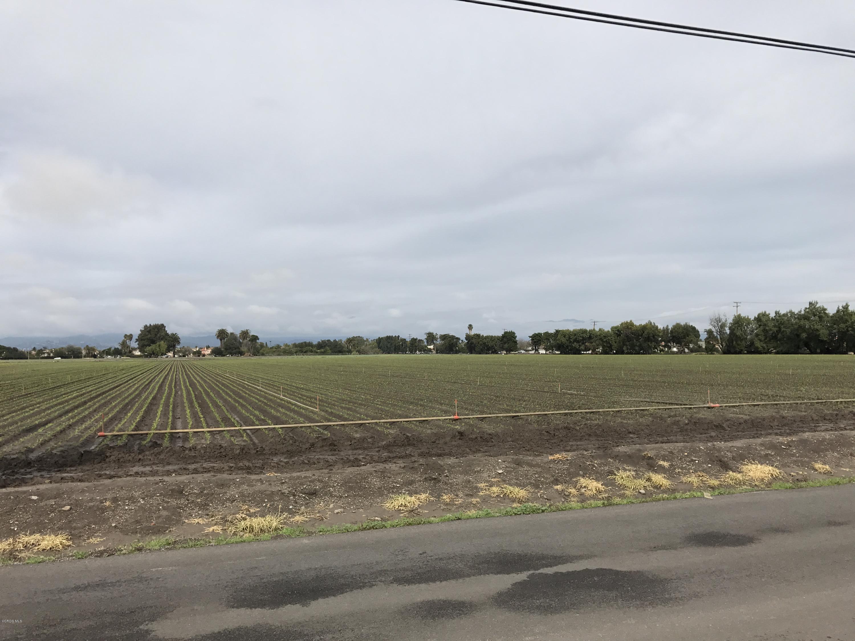 1660 Teal Club Road Oxnard, CA 93030 - Photo 17 of 18 a view of a lake with a big yard