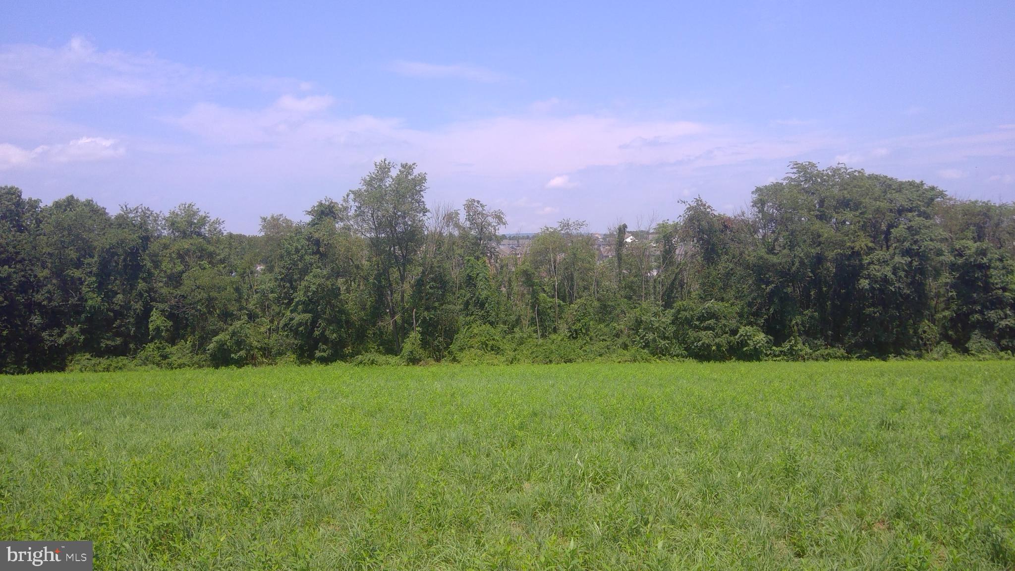 5981 Union Deposit Road Harrisburg, PA 17111 - Photo 2 of 6 View from the lots