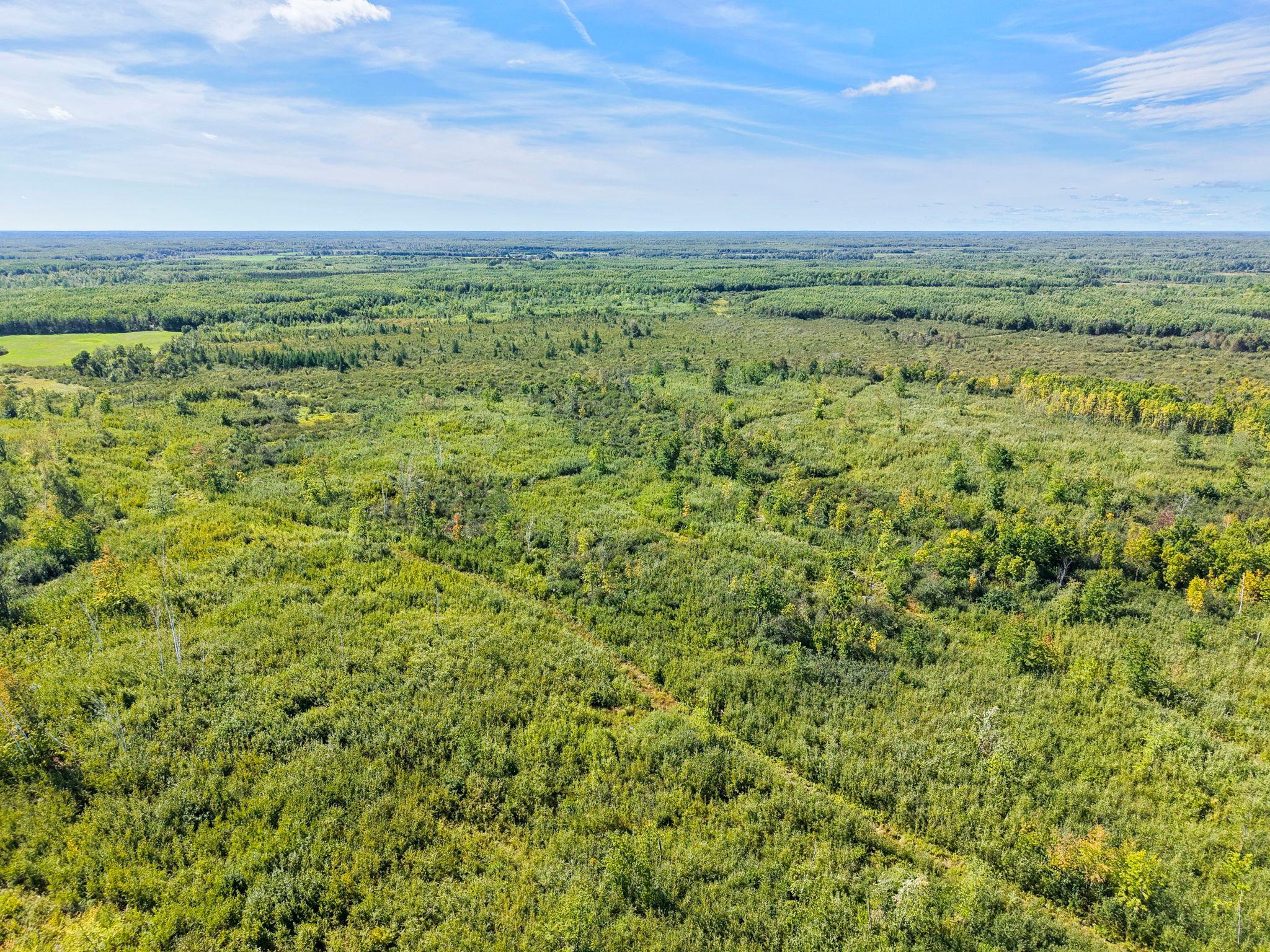 Xxx Fleming Logging Road Hinckley, MN 55037 - Photo 38 of 87 Gallery Image 38
