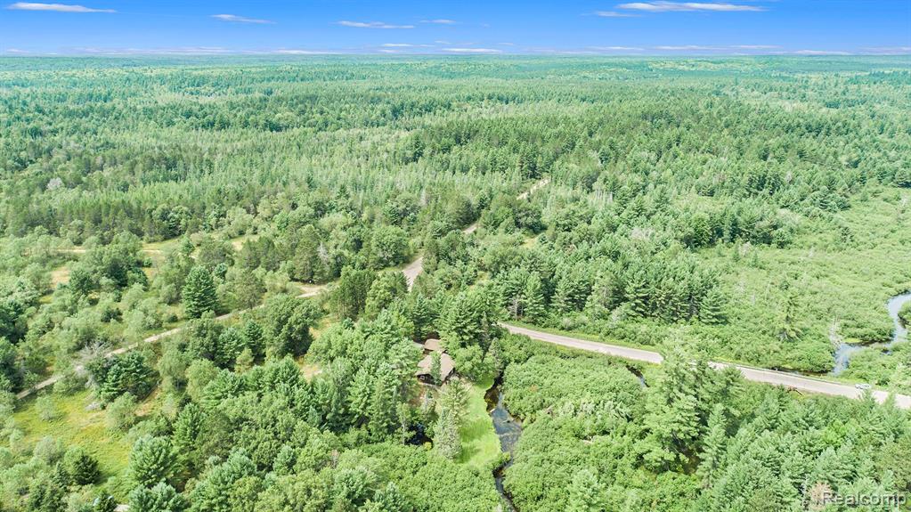 1963 West Karen Lake Road Grayling, MI 49738 - Photo 43 of 50