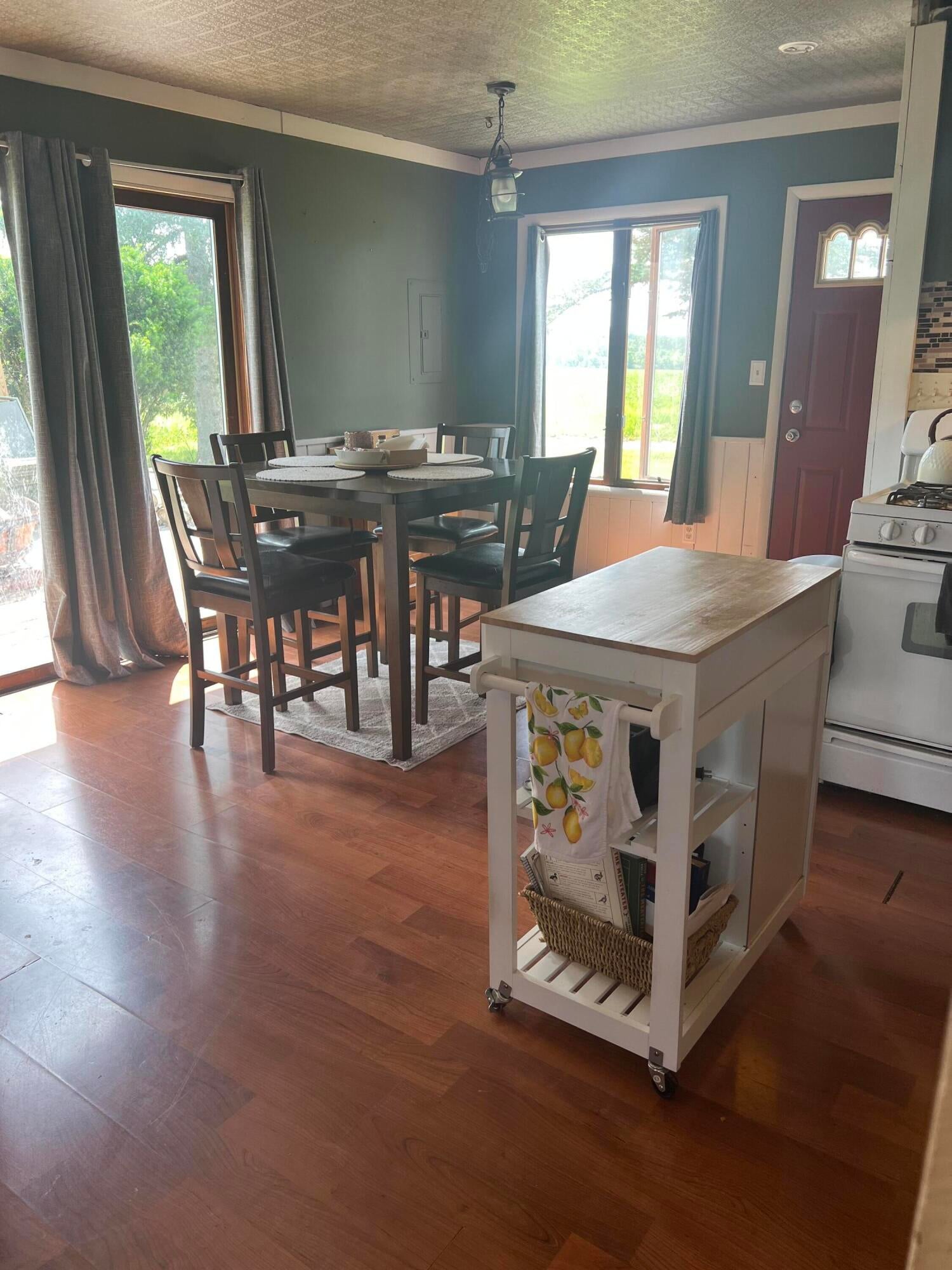 23350 Coombs Road Hillman, MI 49746 - Photo 13 of 30 IMG_6253