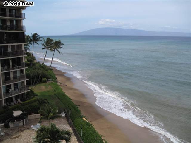 a view of a yard with a window