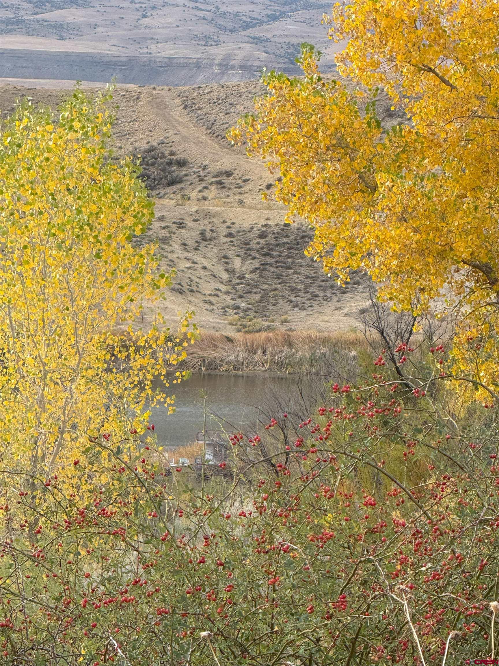 Tbd Payne Siding Road Hotchkiss, CO 81419 - Photo 13 of 38 a view of ocean view