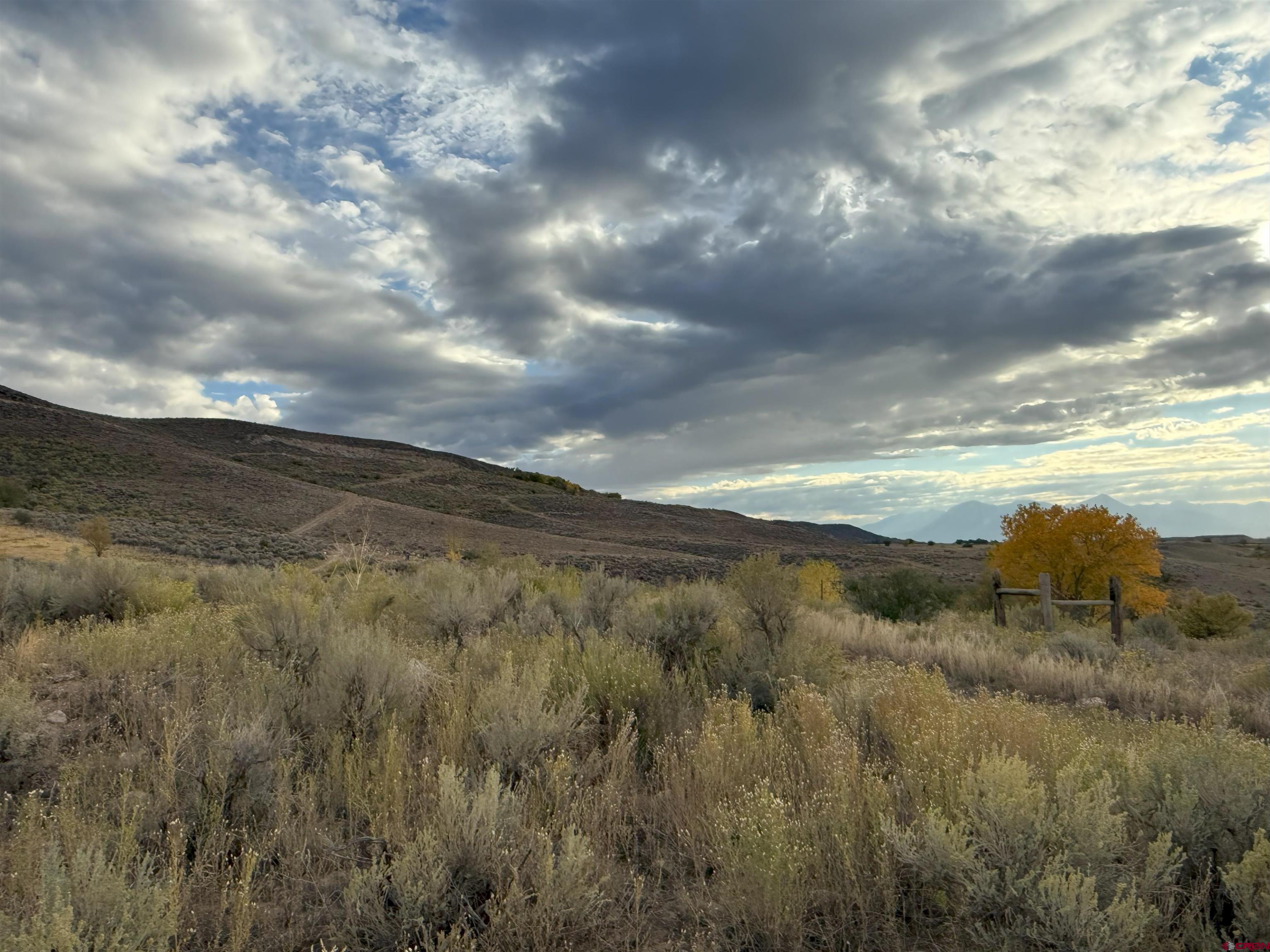 Tbd Payne Siding Road Hotchkiss, CO 81419 - Photo 9 of 38