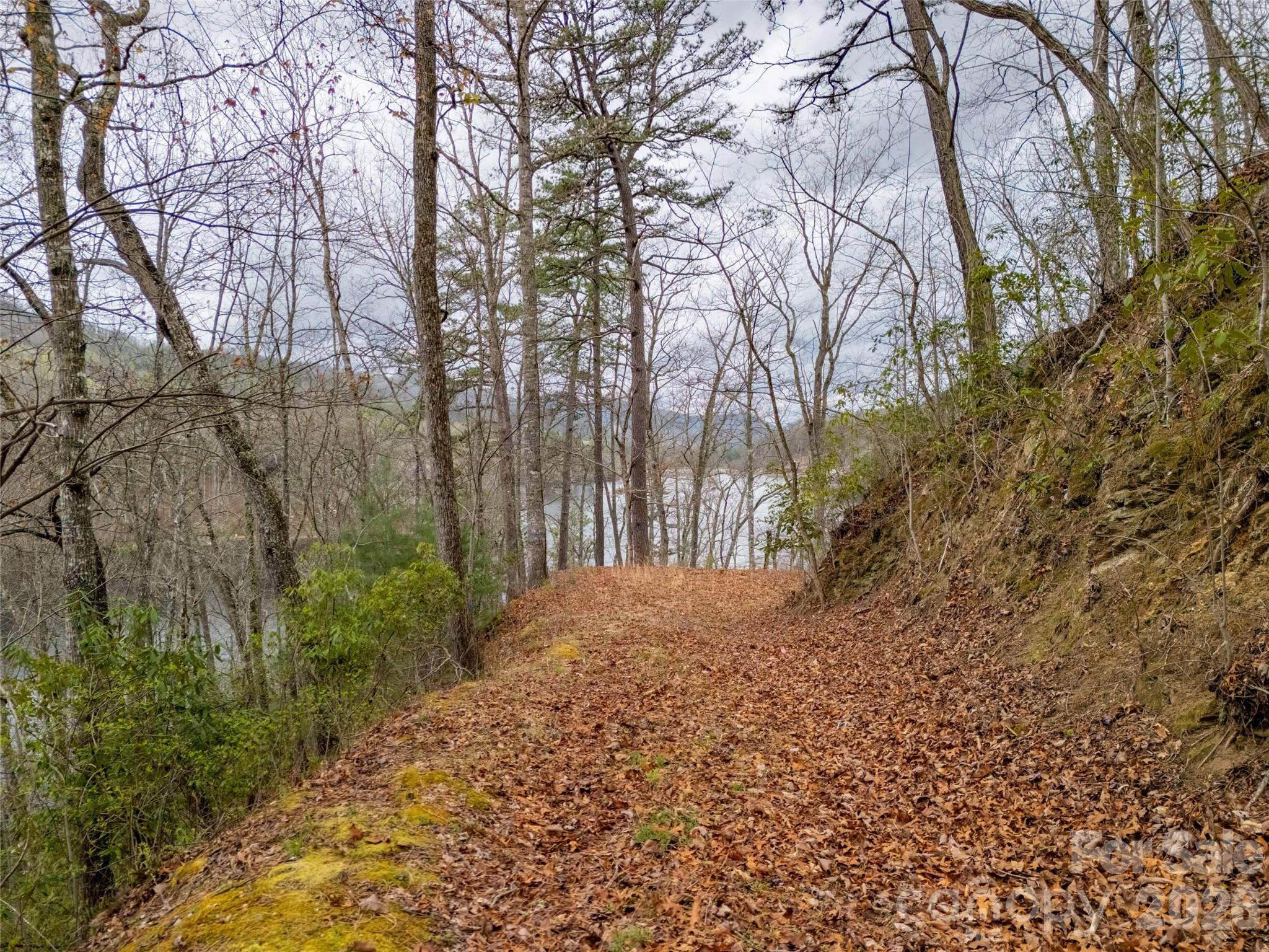 159 Songcatcher Court, Unit 159 Tuckasegee, NC 28783 - Photo 13 of 44 a view of backyard and trees