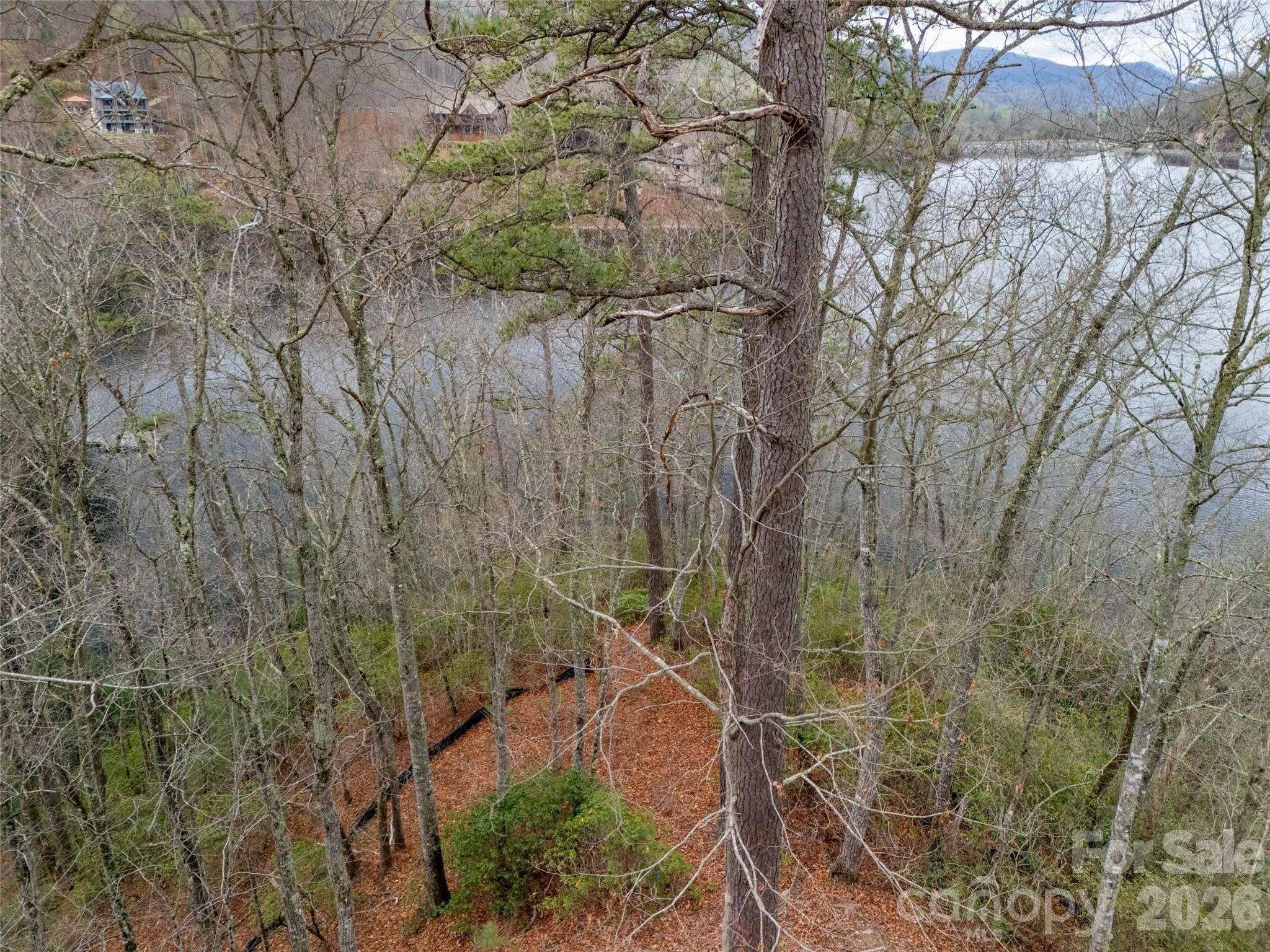 159 Songcatcher Court, Unit 159 Tuckasegee, NC 28783 - Photo 15 of 44 a backyard of a house with lots of green space