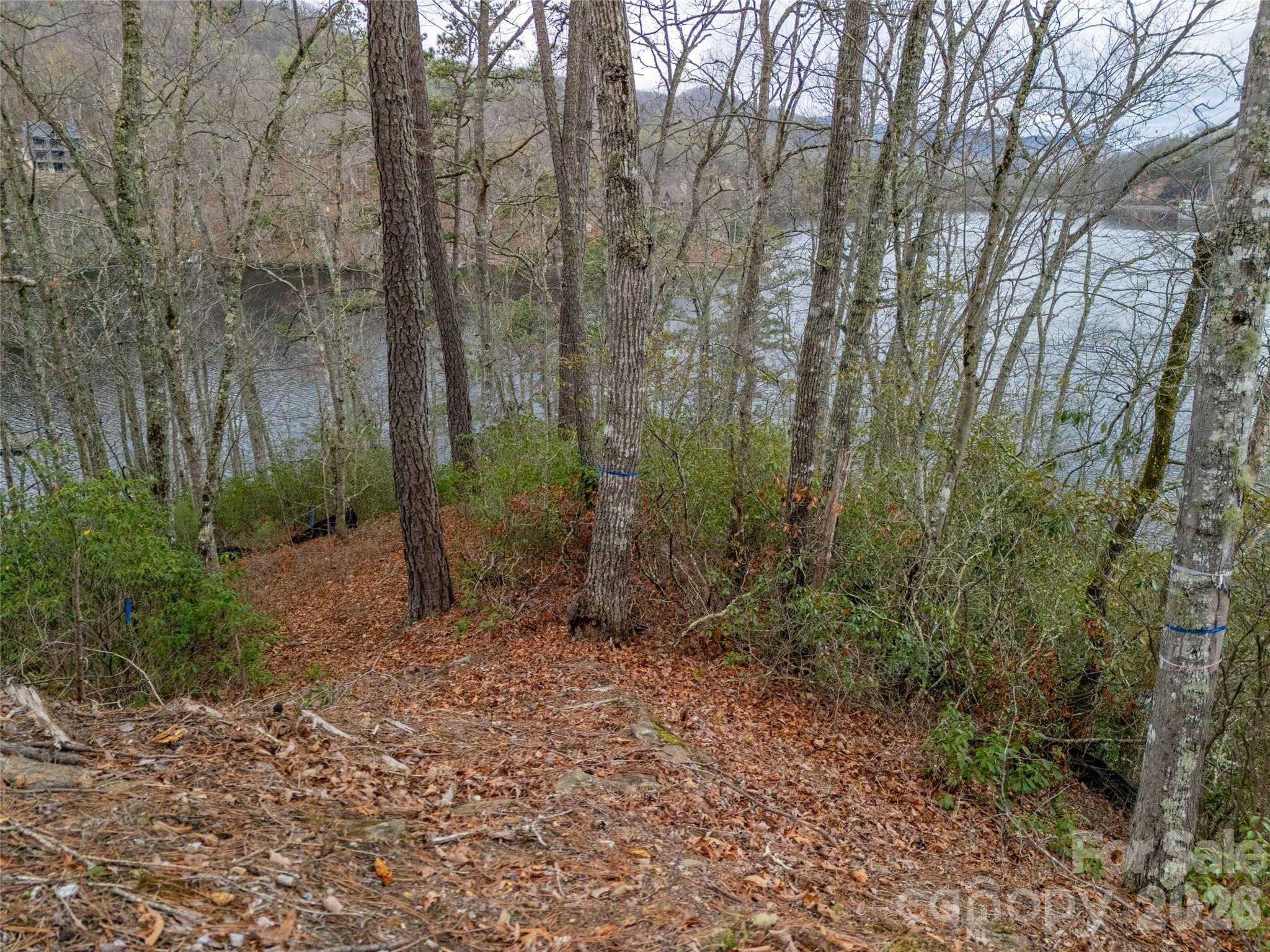 159 Songcatcher Court, Unit 159 Tuckasegee, NC 28783 - Photo 17 of 44 a view of a forest with trees