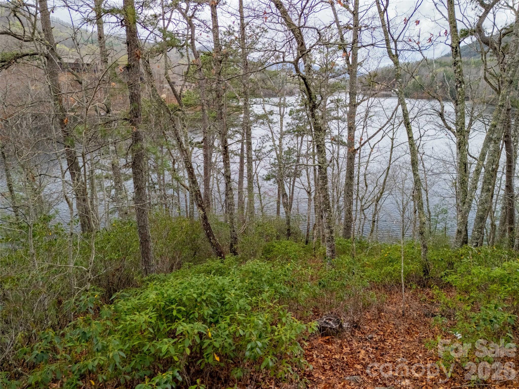 159 Songcatcher Court, Unit 159 Tuckasegee, NC 28783 - Photo 18 of 44 a green field with lots of trees