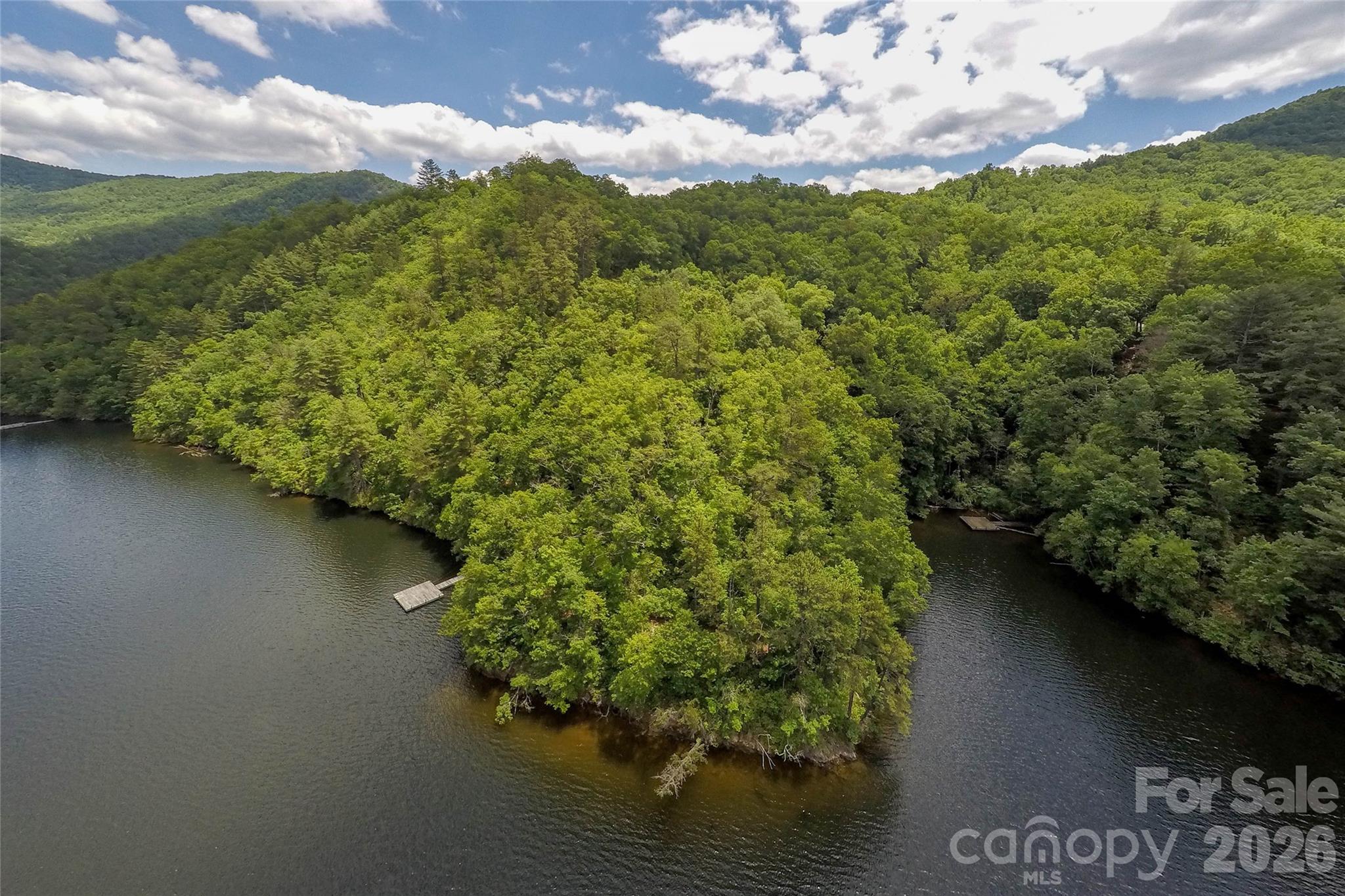 159 Songcatcher Court, Unit 159 Tuckasegee, NC 28783 - Photo 3 of 44 a view of a lake with a yard