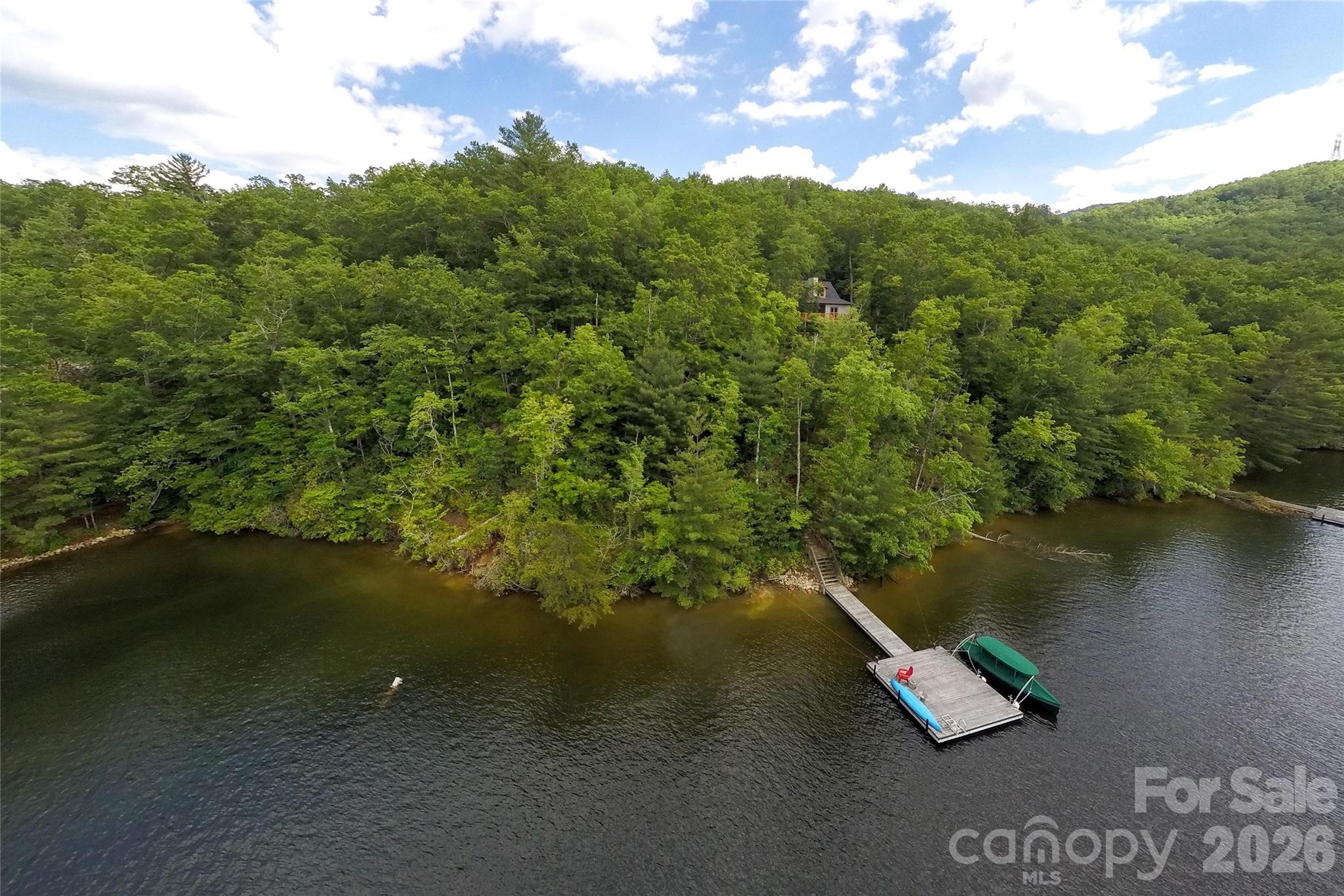 159 Songcatcher Court, Unit 159 Tuckasegee, NC 28783 - Photo 4 of 44 a view of a lake with a mountain in the background