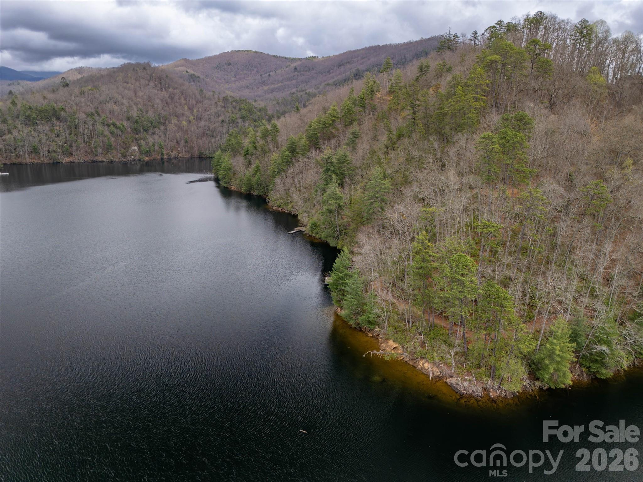 159 Songcatcher Court, Unit 159 Tuckasegee, NC 28783 - Photo 6 of 44 a view of a lake in middle of the town