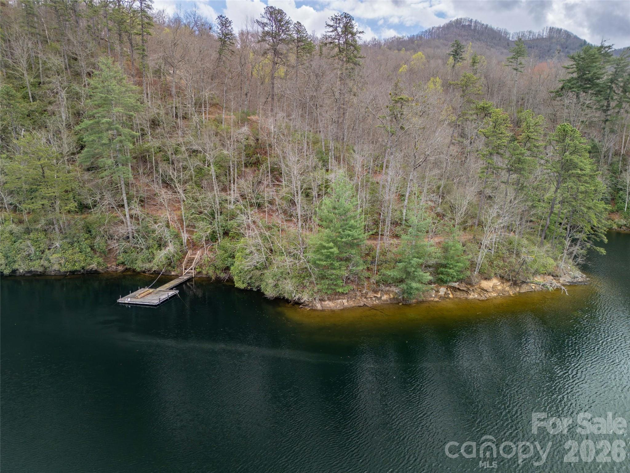 159 Songcatcher Court, Unit 159 Tuckasegee, NC 28783 - Photo 10 of 44 a view of lake and mountain