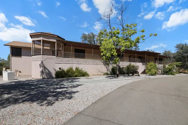 a backyard of a house with a large tree