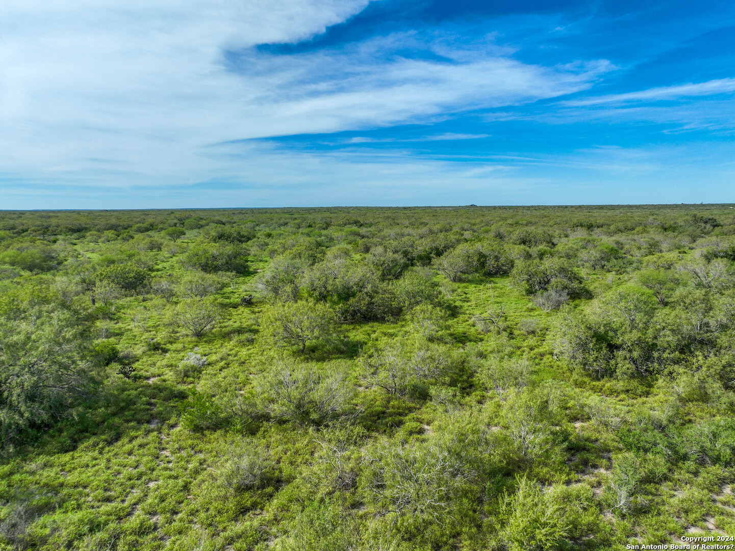 0 Fm 2295 Benavides, TX 78341 - Photo 11 of 20