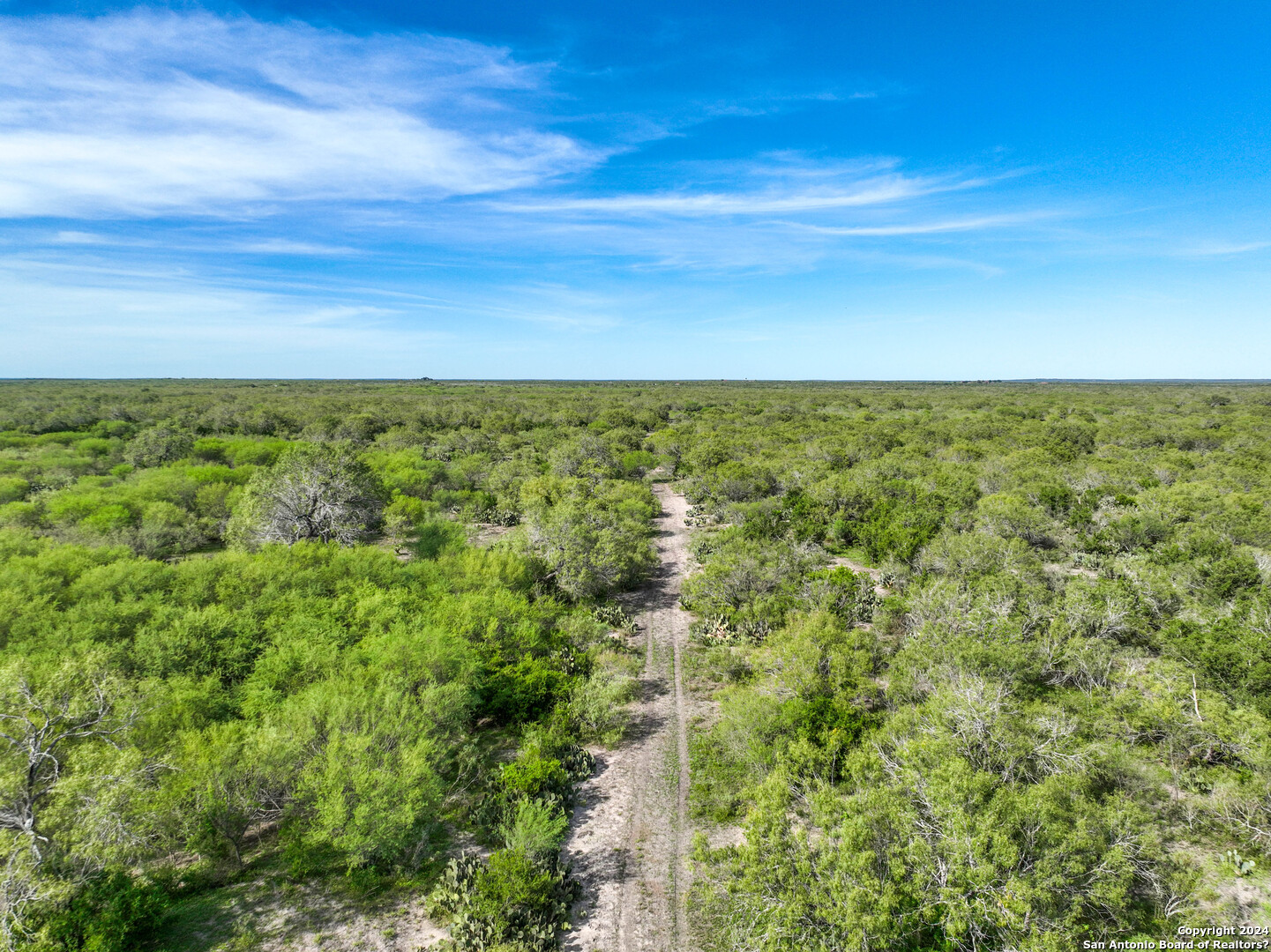 0 Fm 2295 Benavides, TX 78341 - Photo 13 of 20
