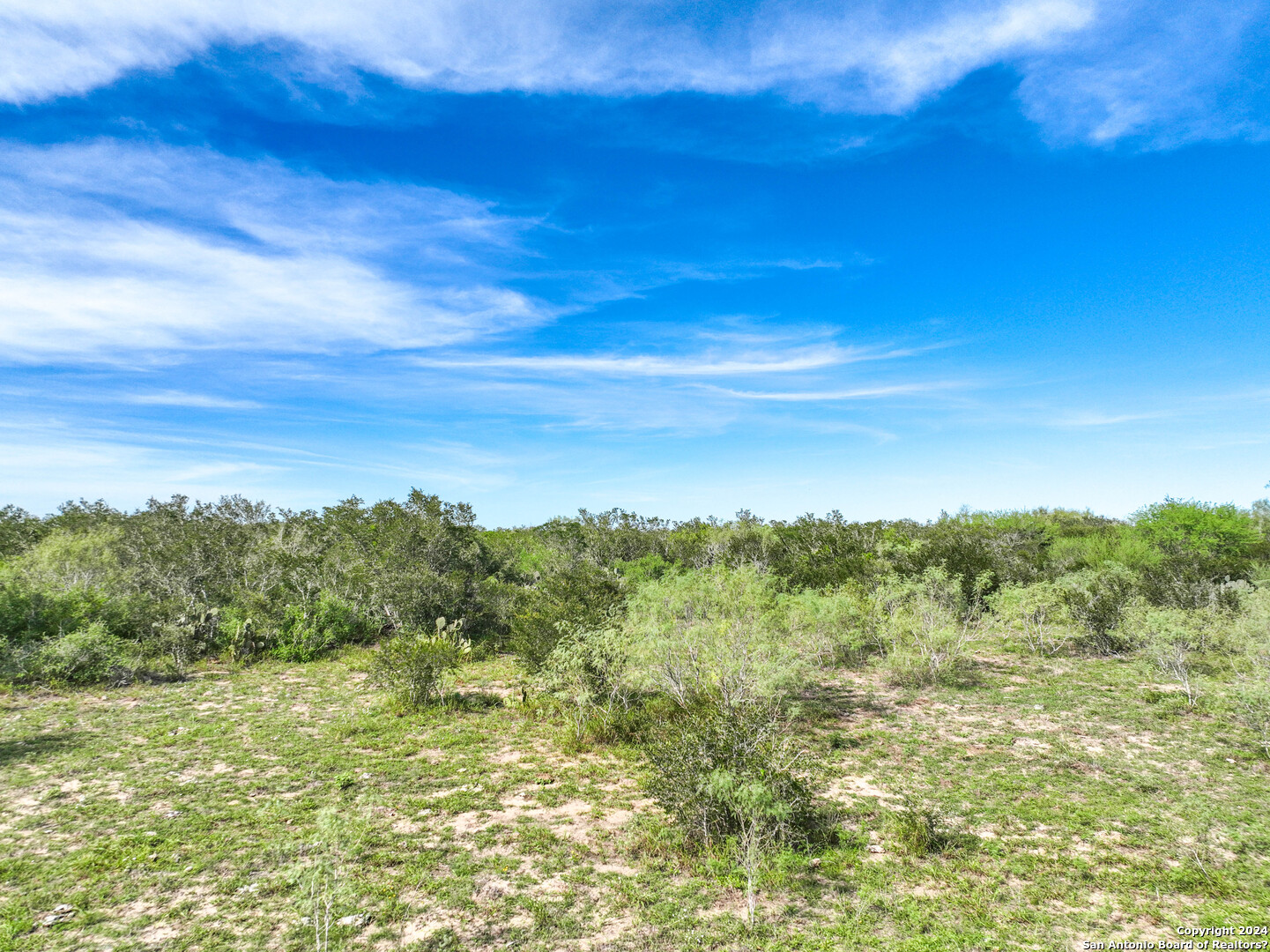 0 Fm 2295 Benavides, TX 78341 - Photo 14 of 20