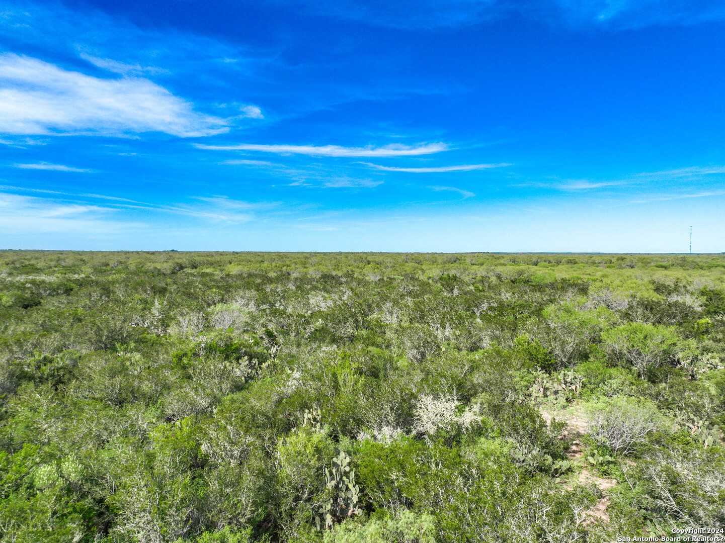 0 Fm 2295 Benavides, TX 78341 - Photo 15 of 20