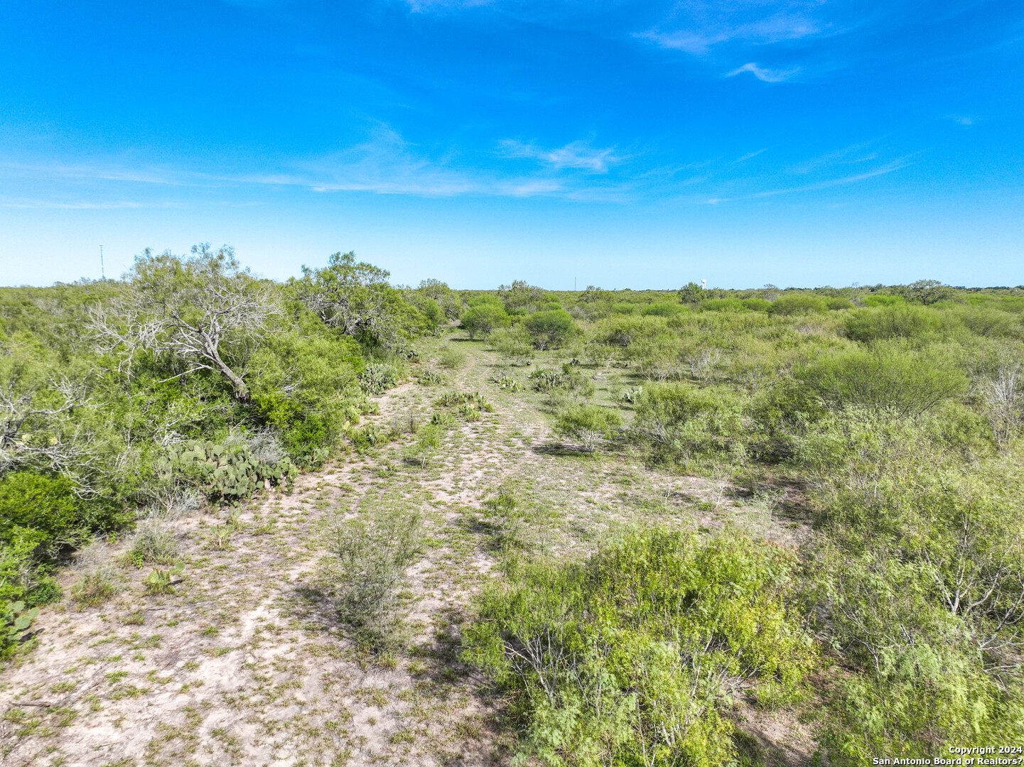 0 Fm 2295 Benavides, TX 78341 - Photo 19 of 20